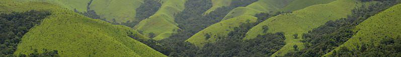 Aerial photograph of the hills of Kudremukh. Light-green grasslands are interspersed with dark-green vegetation.
