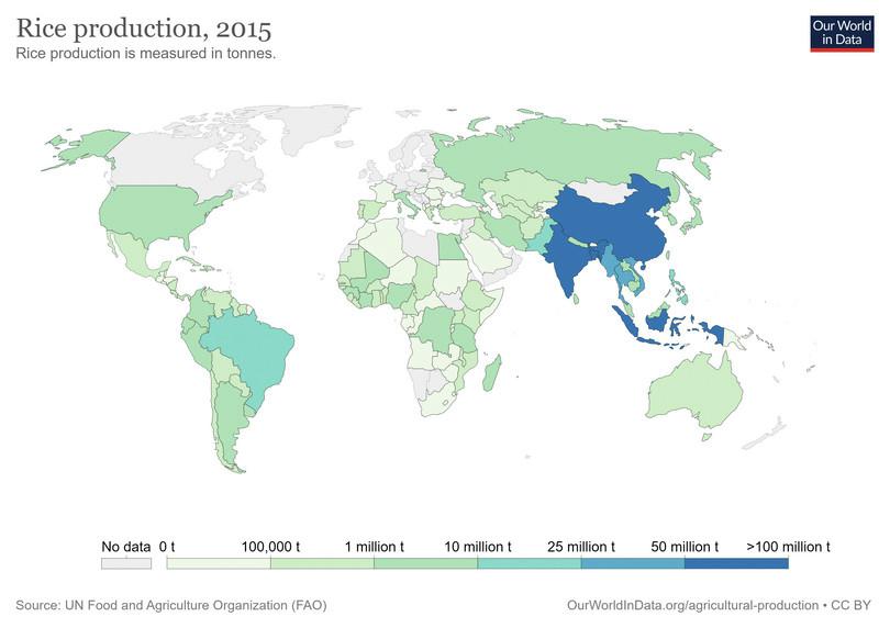 This map shows the quantity of rice grown in each country and it clearly shows that China and India are leading producers.

