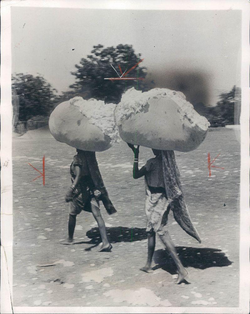 The first stage in cotton cloth production – photograph of two women carrying bales of raw cotton on their head.
