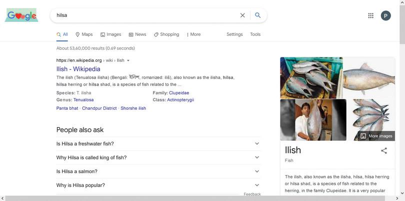 Google search results for the word ‘hilsa’.
