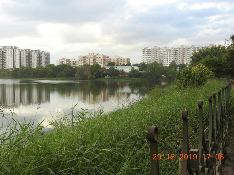c. A lake in Bengaluru surrounded by high-rise apartments
: A photograph of a lake surrounded by trees, grass and high rise apartment buildings.
