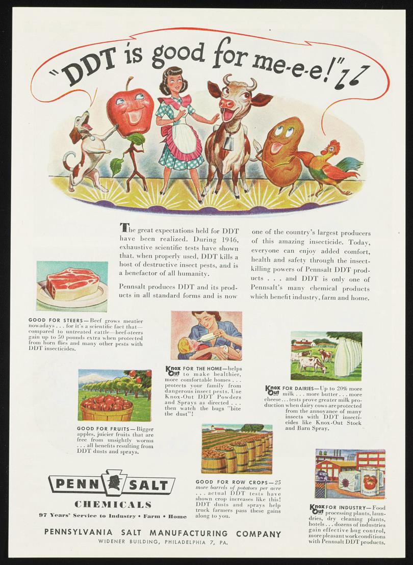 DDT was promoted widely in the 1940s as a miracle product. The advertisement from Time magazine shows pets, farm animals, fruits, vegetables and humans happily singing ‘DDT is good for me!’
