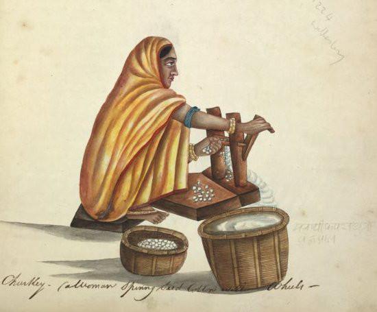 The second stage in cotton cloth production – illustration of a woman extracting cotton lint on a hand–wound ginning machine.
