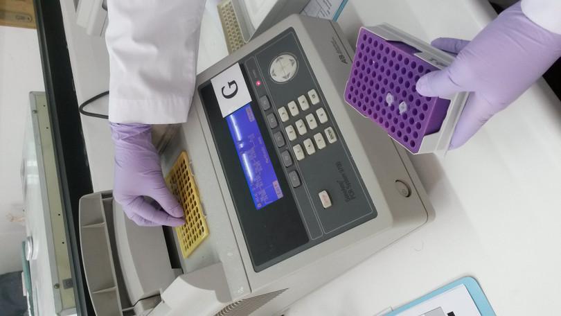 Photograph of a PCR machine.
